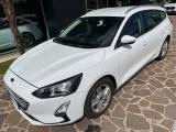 FORD Focus SW 1.5 EcoBlue 120cv Automatica Business Co-Pilot
