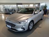 FORD Focus 1.5 EcoBlue 95 CV 5p. Plus