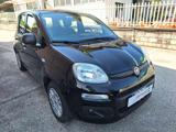 FIAT Panda 1.2 EasyPower Easy *GPL*