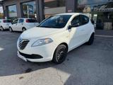 LANCIA Ypsilon 1.2 69 CV 5 porte Elefantino