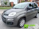 FIAT Panda 1.2 Pop CON SOLI 34 MILA KM