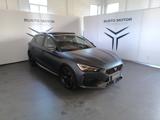 CUPRA Leon 2.0 TSI 190 CV DSG