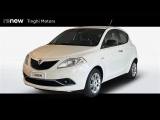 LANCIA Ypsilon 5 Porte 1.2 69cv Gold my16