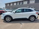 FORD Kuga 1.5 EcoBlue 120 CV aut. 2WD ST-Line