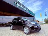 FIAT New Panda PANDINA - 5 POSTI - PACK CITY - KM 0 11/2024
