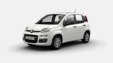 FIAT Panda 1.0 FireFly S&S Hybrid Icon - VARI COLORI!