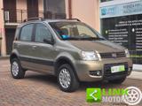 FIAT Panda 1.2 4x4 Climbing 60 CV