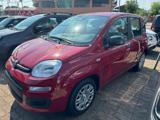 FIAT Panda 1.0 FireFly S&S Hybrid Icon