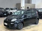 FIAT Panda 1.0 FireFly Hybrid City Life 5 p.ti - Carplay -IVA