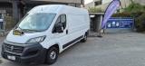 FIAT DUCATO  FIAT Ducato 35 2.3 MJT 140CV PLM-TM