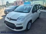 FIAT Panda PANDA my 251.0 Firefly 70CV Hybrid