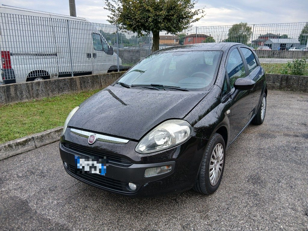 Immagine di FIAT Punto Evo