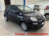FIAT Panda Hybrid 1.0 FireFly 70 cv Neopatentati - PROMO