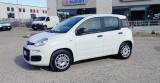 FIAT Panda 1.2 Easy CLIMA 40.600km! GARANZIA