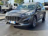 FORD Kuga 1.5 EcoBlue 120 CV 2WD ST-Line