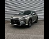 LEXUS Other RXL LUXURY 450H 3.5 263CV CVT 7 POSTI MY 18