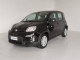 FIAT Panda 1.0 FireFly S&S Hybrid Pandina