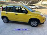 FIAT Panda 1.0  Hybrid ADAS no finanziamento KM ZERO