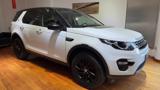 LAND ROVER Discovery Sport 2.0 TD4 150 CV Auto Business Ed.Premium Pure