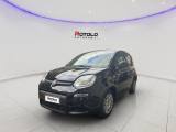 FIAT Panda ADAS Hybrid PROMO CAR SERENITY
