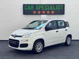 FIAT Panda 1.2 EasyPower GPL|NEOPAT.|CITY|IVA.ESPOSTA