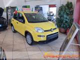 FIAT Panda 1.0 FireFly S&S Hybrid Pandina
