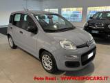 FIAT Panda Hybrid 1.0 FireFly 70 cv - PROMO