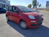 FIAT Panda 1.0 FireFly S&S Hybrid PREZZO REALE