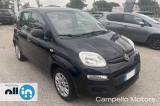 FIAT Panda Panda 1.2 69cv Easy