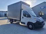 FIAT DUCATO  2.3 MJT 130 CV CENTINA CON TELO
