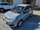 FIAT Panda III 1.0 70Cv FireFly S&S Mild-Hybrid
