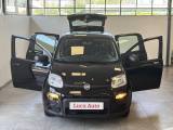 FIAT Panda 1.0 FireFly S&S Hybrid *UNICO PROP.*SENSORI*