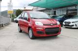 FIAT Panda My25 1.0 70cv FireFly S&S Hybrid *PackCity*