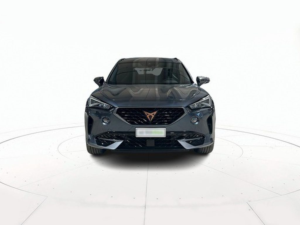 immagine usato CUPRA Formentor 2.0 tdi 4drive 150cv dsg