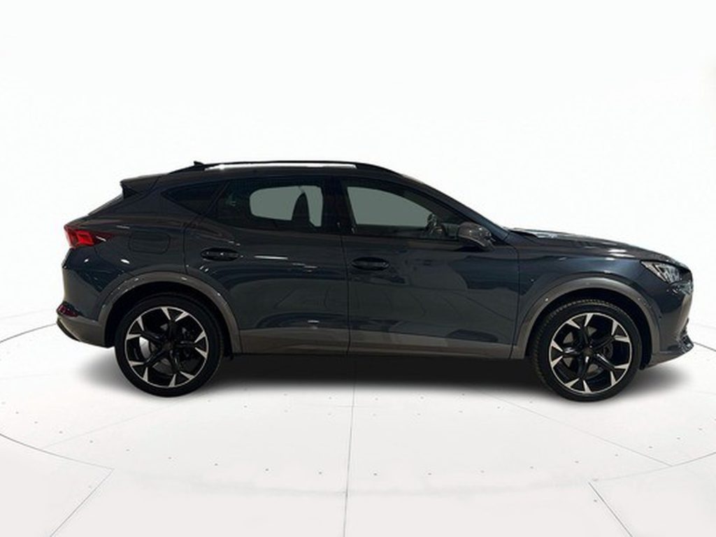 immagine usato CUPRA Formentor 2.0 tdi 4drive 150cv dsg