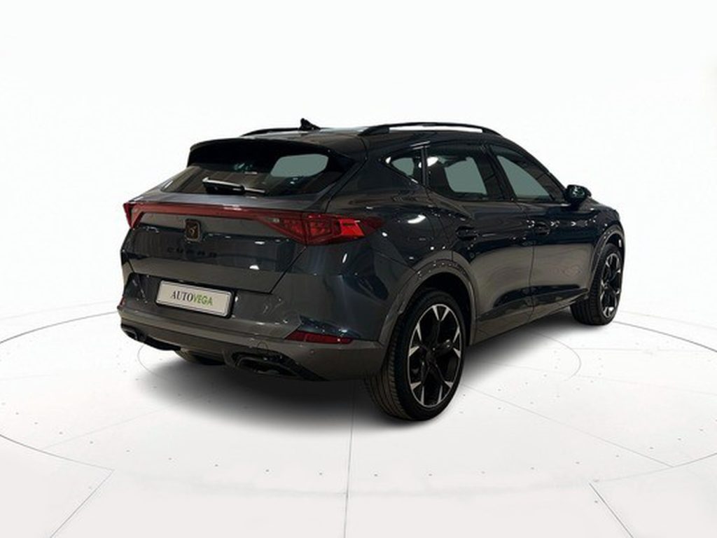 immagine usato CUPRA Formentor 2.0 tdi 4drive 150cv dsg