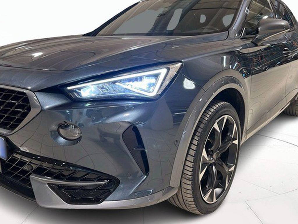 immagine usato CUPRA Formentor 2.0 tdi 4drive 150cv dsg