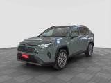 TOYOTA Dyna RAV4 RAV4 2.5 PHEV E-CVT AWD-i More mic