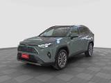 TOYOTA Dyna RAV4 RAV4 2.5 PHEV E-CVT AWD-i More mic
