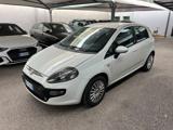 FIAT Punto Evo 1.2 5 porte S&S Active Unico proprietario