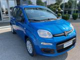 FIAT Panda 1.0 FireFly S&S Hybrid KM0 MY25