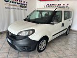 FIAT Doblo Doblò 1.6 MJT 90CV S&S PC Combi N1 Easy