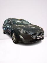 FORD Focus 1.5 EcoBlue 120 CV automatico SW Business Co-Pilot