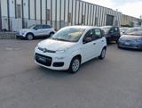 FIAT Panda *PROMO* 1.2 Pop