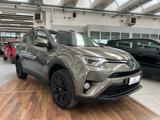 TOYOTA RAV 4 MY23 RAV4 2.5 Hybrid 2WD Lounge GPL, ESEMPLARE UNICO
