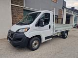 FIAT Ducato 33 2.2 Mjt 140CV PM Cassonato