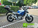 SUZUKI Gladius SFV 650