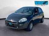 FIAT Punto 1.4 8V 5 porte Natural Power Young