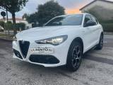 ALFA ROMEO Stelvio 2.2 Turbodiesel 210 CV AT8 Q4 Veloce