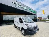 FIAT Ducato PASSO CORTO TETTO BASSO - KM 65.000 - NO OBBLIGO